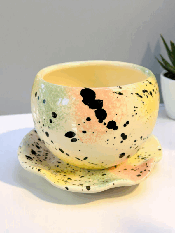 Maceta Decorativa de Cerámica con Plato Incluido – Diseño Moderno y Elegante  – Ideal para Plantas, Suculentas o Decoración - Chica